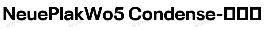 NeuePlakWo5 Condense字体转换